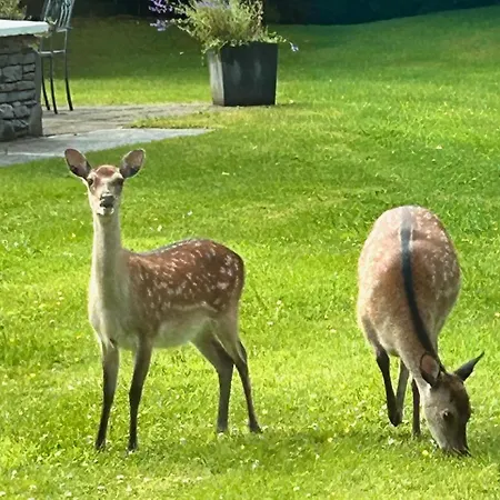 Deer Park 度假居 *