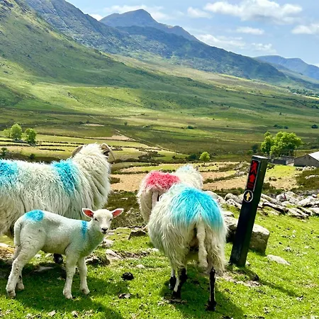 Deer Park 度假居 *