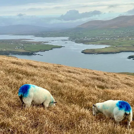 Deer Park Ferienhaus