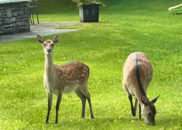 Deer Park Prázdninový dům *