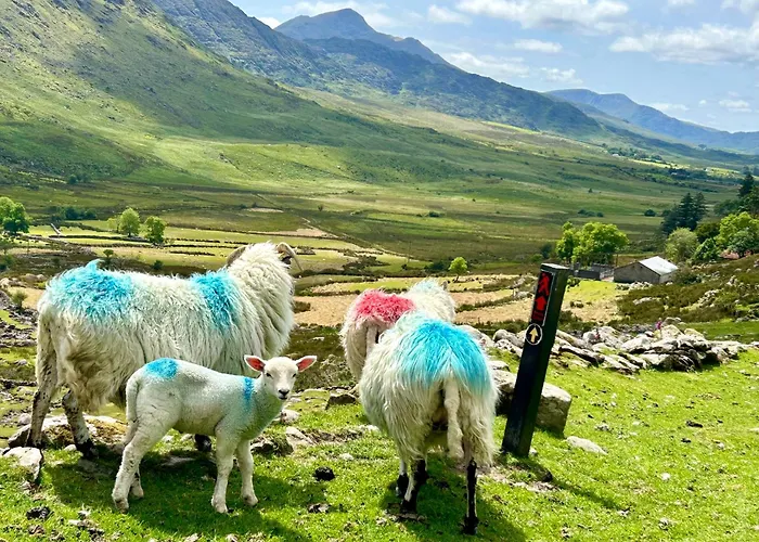 Deer Park Сasa de vacaciones *