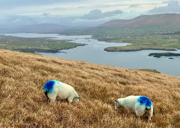 Deer Park Prázdninový dům