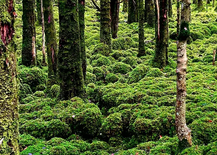 Prázdninový dům Deer Park