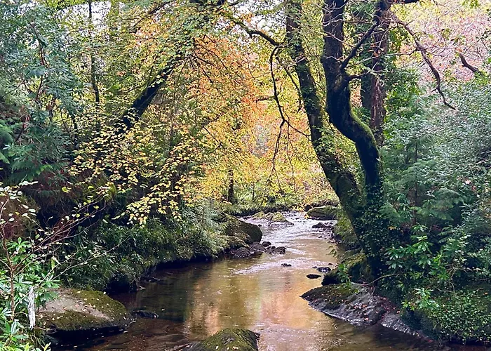 Сasa de vacaciones Deer Park